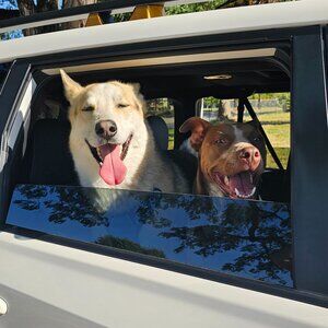 Meet your Posher, Jamie